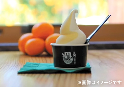M.CITRUS　ミックスソフトクリーム
